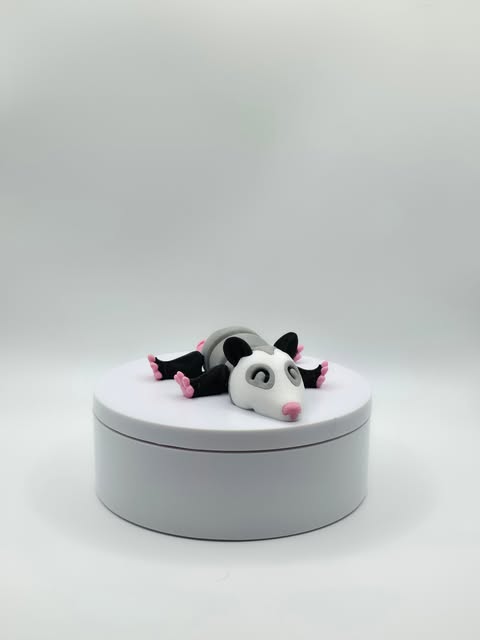Opossum