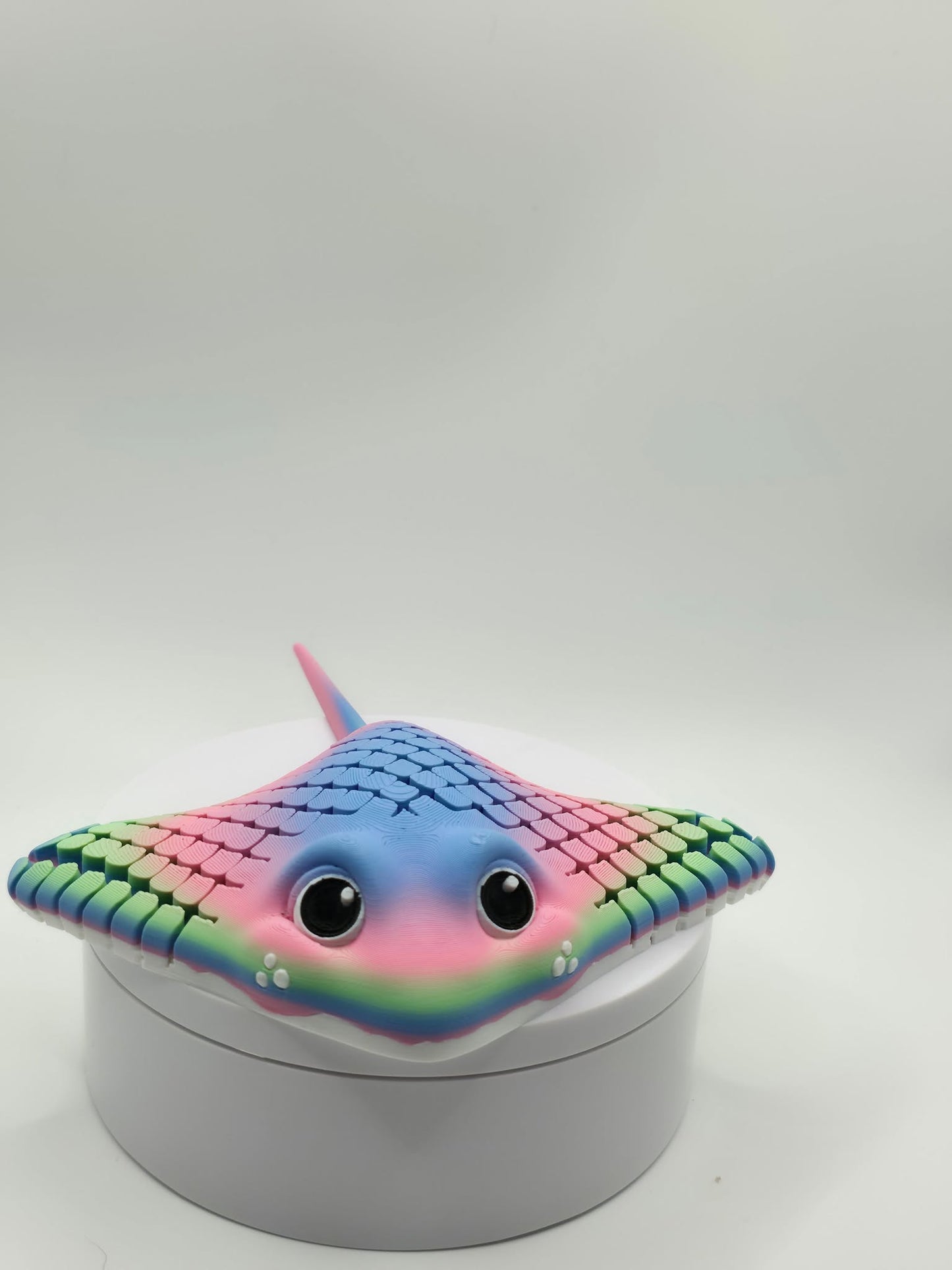 Flexi Stingray