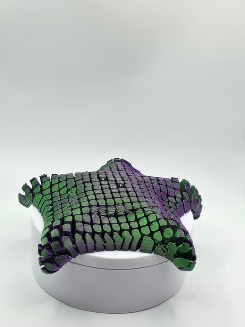Flexi Starfish