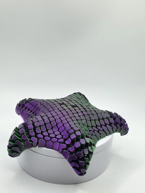 Flexi Starfish