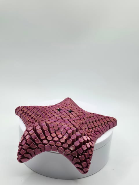 Flexi Starfish